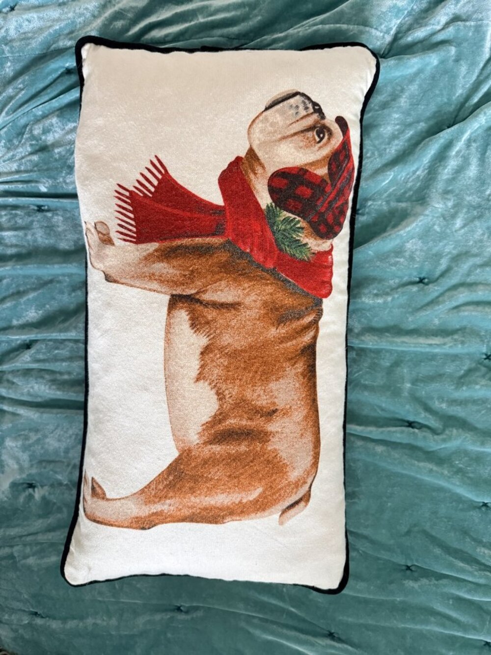 Isaac Mizrahi Bulldog Christmas Lumbar Pillow Buffalo Plaid Feather Down